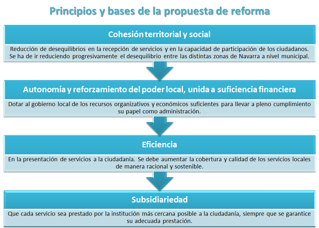 Principios y bases de la propuesta de reforma