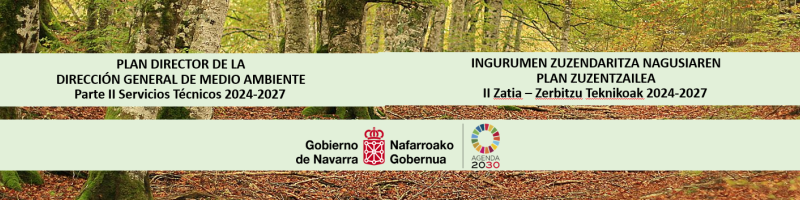 Irudia Ingurumen Zuzendaritza Nagusiaren Plan Zuzentzailea II. Zatia