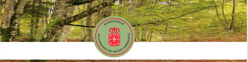 Imagen Plan de Formación Guarderío de Medio Ambiente 2025-2028