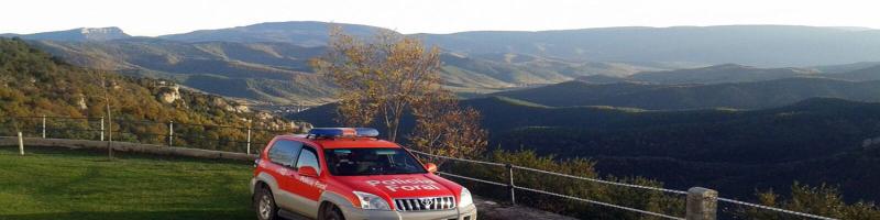 coche policía foral