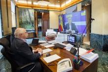 Imagen de la videoconferencia